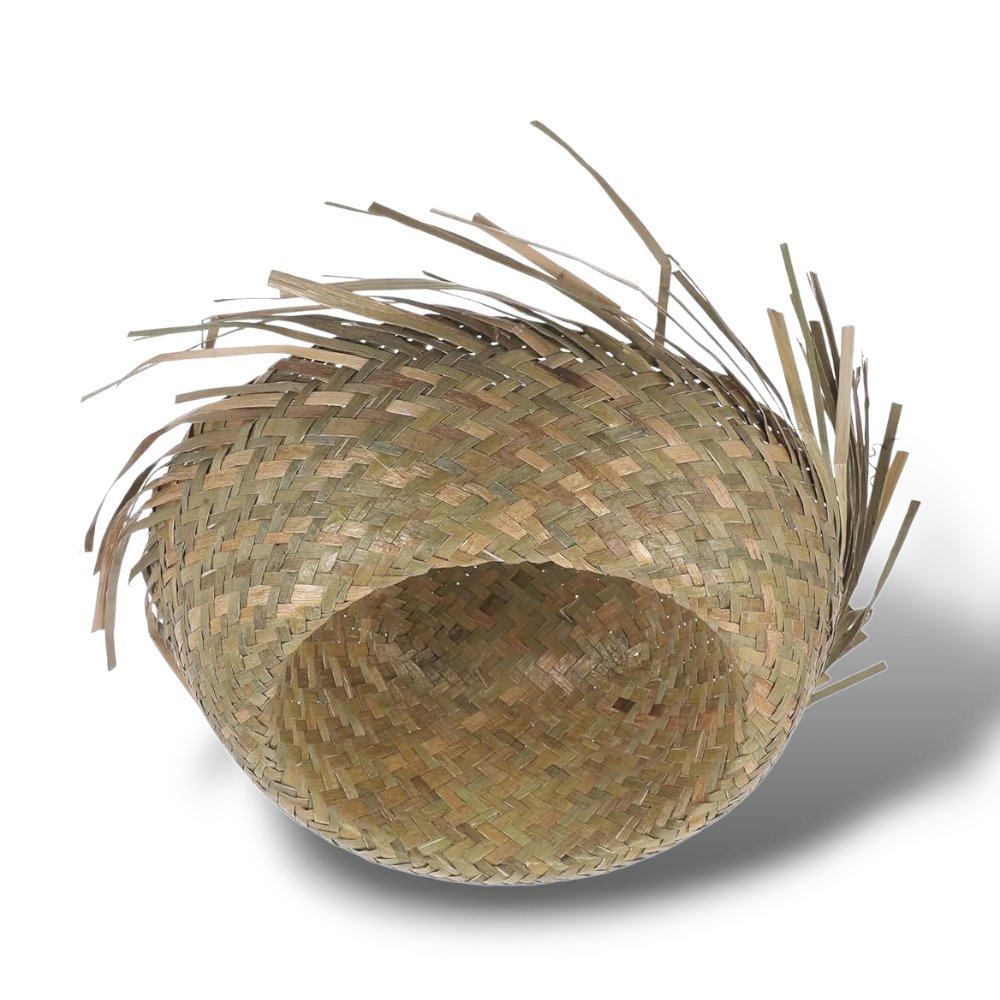 Chapeau Pava Puerto Rico